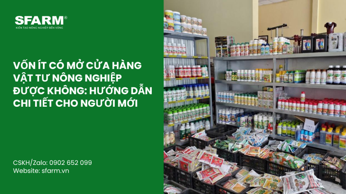 Cat Tia Cay Viet Quat Dung Cach Thoi Diem Ky Thuat Va Nhung Luu Y Quan Trong 23
