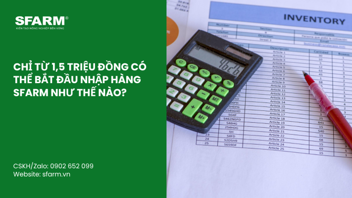 Cat Tia Cay Viet Quat Dung Cach Thoi Diem Ky Thuat Va Nhung Luu Y Quan Trong 24