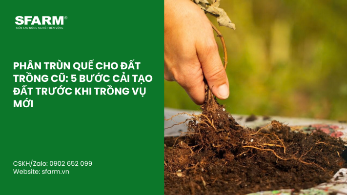 Cat Tia Cay Viet Quat Dung Cach Thoi Diem Ky Thuat Va Nhung Luu Y Quan Trong 57