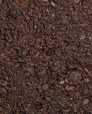 Cách nhận biết phân trùn quế chất lượng qua màu sắc