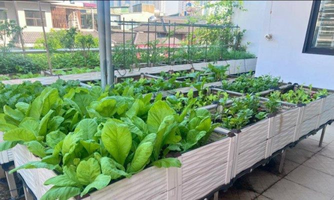 Bao lâu nên bón phân một lần?