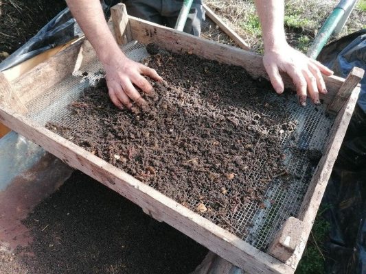 Vì sao nguồn nguyên liệu và quy trình xử lý quyết định chất lượng