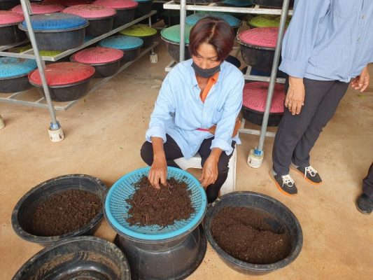 Vì sao nguồn nguyên liệu và quy trình xử lý quyết định chất lượng