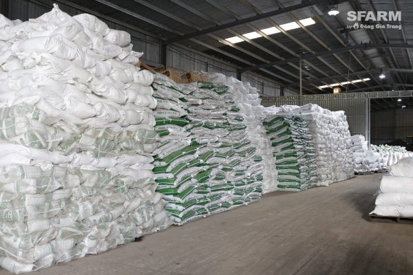 nguồn nhập hàng VTNN phổ biến