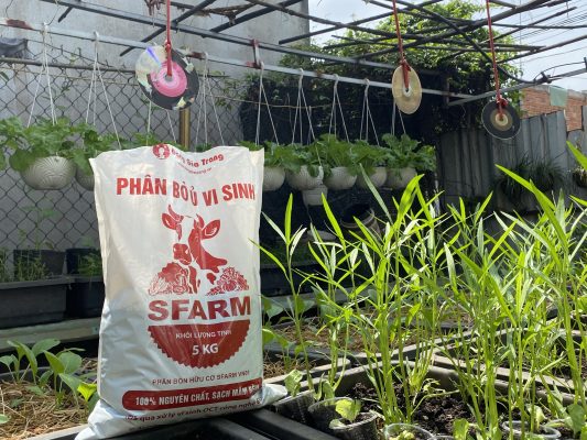 Phân bò SFARM đóng vai trò gì trong hỗn hợp đất trồng?