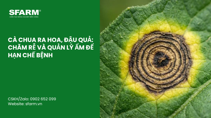 Cat Tia Cay Viet Quat Dung Cach Thoi Diem Ky Thuat Va Nhung Luu Y Quan Trong 1