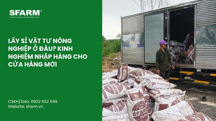 Cat Tia Cay Viet Quat Dung Cach Thoi Diem Ky Thuat Va Nhung Luu Y Quan Trong 59