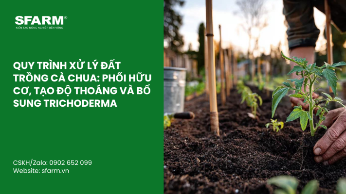 Cat Tia Cay Viet Quat Dung Cach Thoi Diem Ky Thuat Va Nhung Luu Y Quan Trong 6