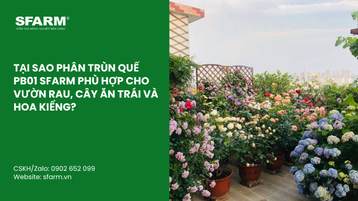 Cat Tia Cay Viet Quat Dung Cach Thoi Diem Ky Thuat Va Nhung Luu Y Quan Trong 65