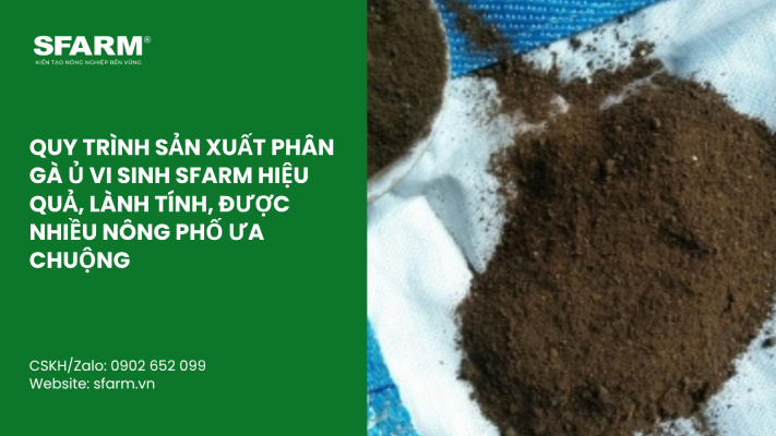 Cat Tia Cay Viet Quat Dung Cach Thoi Diem Ky Thuat Va Nhung Luu Y Quan Trong 66