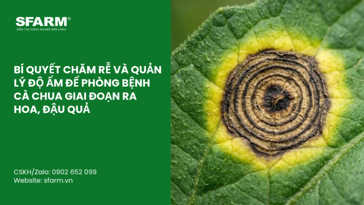 Cat Tia Cay Viet Quat Dung Cach Thoi Diem Ky Thuat Va Nhung Luu Y Quan Trong 12