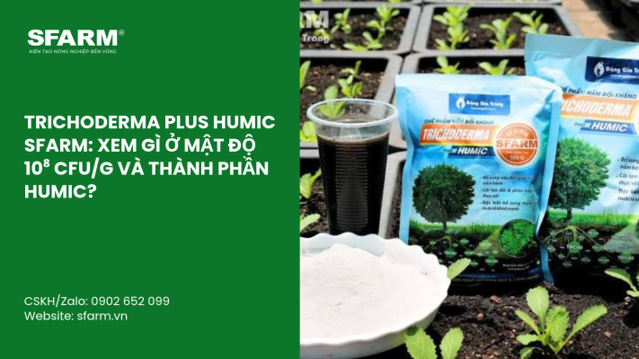 Cat Tia Cay Viet Quat Dung Cach Thoi Diem Ky Thuat Va Nhung Luu Y Quan Trong 14