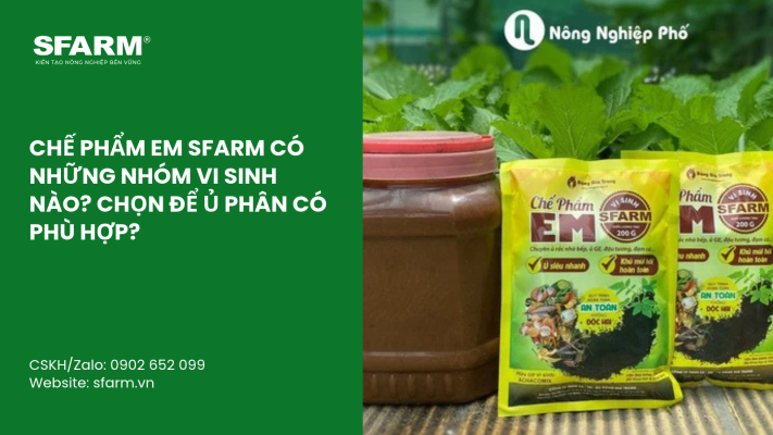 Cat Tia Cay Viet Quat Dung Cach Thoi Diem Ky Thuat Va Nhung Luu Y Quan Trong 15