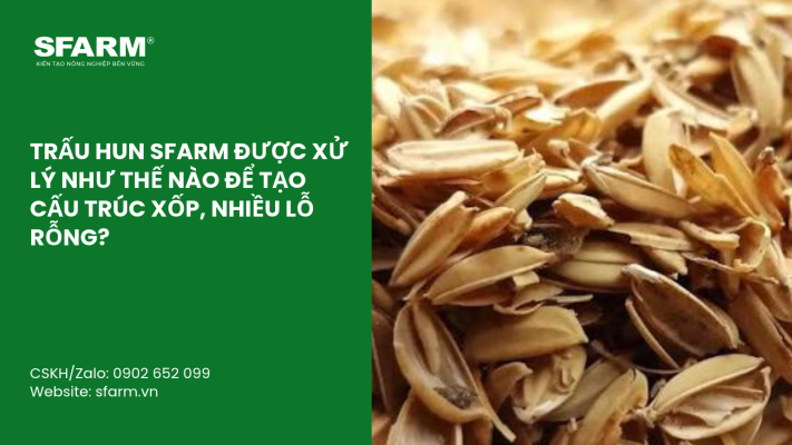 Cat Tia Cay Viet Quat Dung Cach Thoi Diem Ky Thuat Va Nhung Luu Y Quan Trong 20