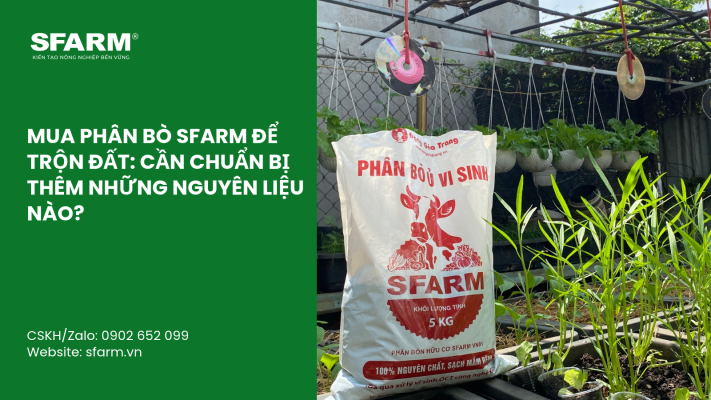 Cat Tia Cay Viet Quat Dung Cach Thoi Diem Ky Thuat Va Nhung Luu Y Quan Trong 5 1