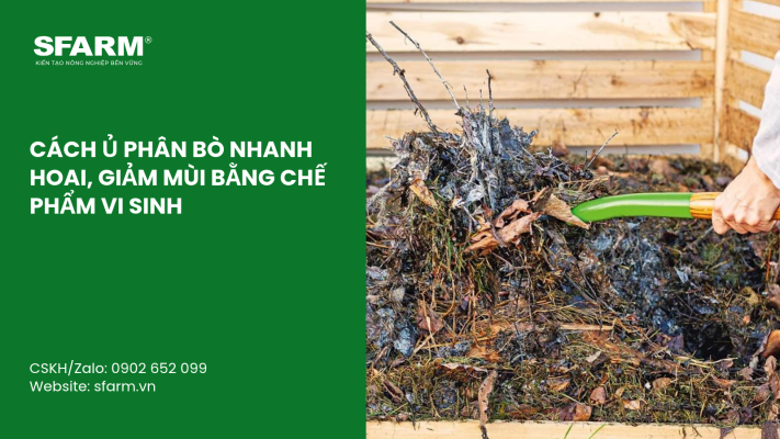 Cat Tia Cay Viet Quat Dung Cach Thoi Diem Ky Thuat Va Nhung Luu Y Quan Trong 6