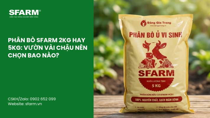 Cat Tia Cay Viet Quat Dung Cach Thoi Diem Ky Thuat Va Nhung Luu Y Quan Trong 7 1