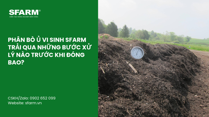 Cat Tia Cay Viet Quat Dung Cach Thoi Diem Ky Thuat Va Nhung Luu Y Quan Trong