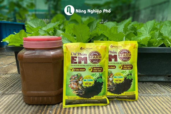 Theo dõi mẻ ủ để biết khi nào có thể sử dụng