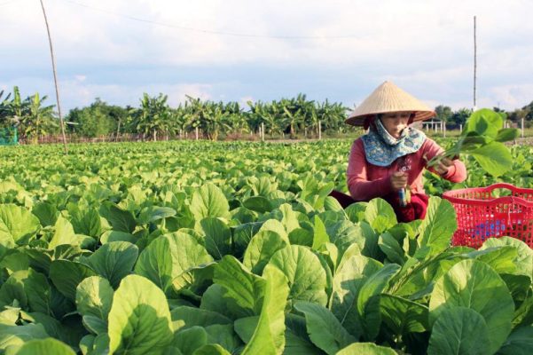 Xác định nhóm khách hàng mục tiêu