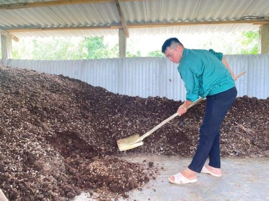 Quá trình ủ hoai giúp giảm mùi phân bò như thế nào?