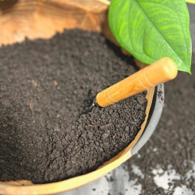 Có nên trồng cây bằng 100% phân hữu cơ?