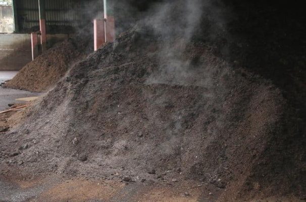 Phân bò ủ vi sinh SFARM xử lý men vi sinh và điều chỉnh độ ẩm đầu vào